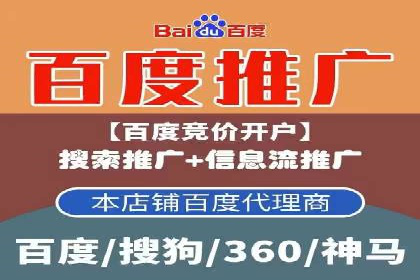 百度推广在电商领域的应用：成功提升销售额的秘诀